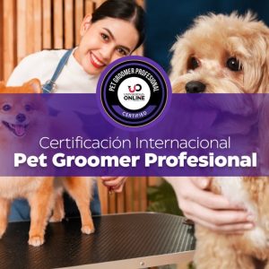 Certificación Internacional de Pet Groomer Profesional