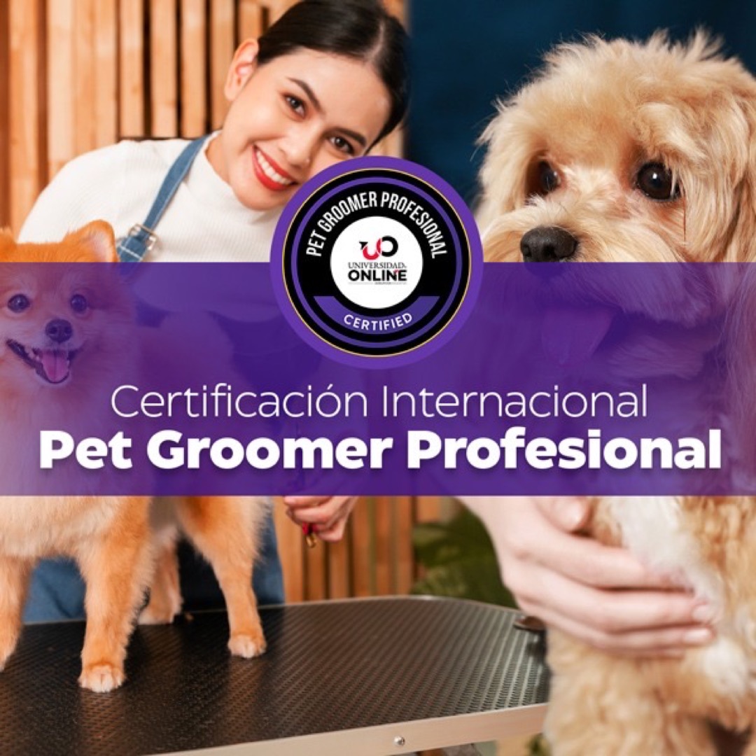 Certificación Internacional de Pet Groomer Profesional