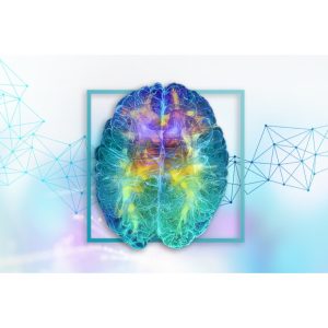 Diplomado de Salud Cerebral y Prevención del Deterioro Cognitivo