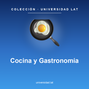 Cocina y Gastronomía