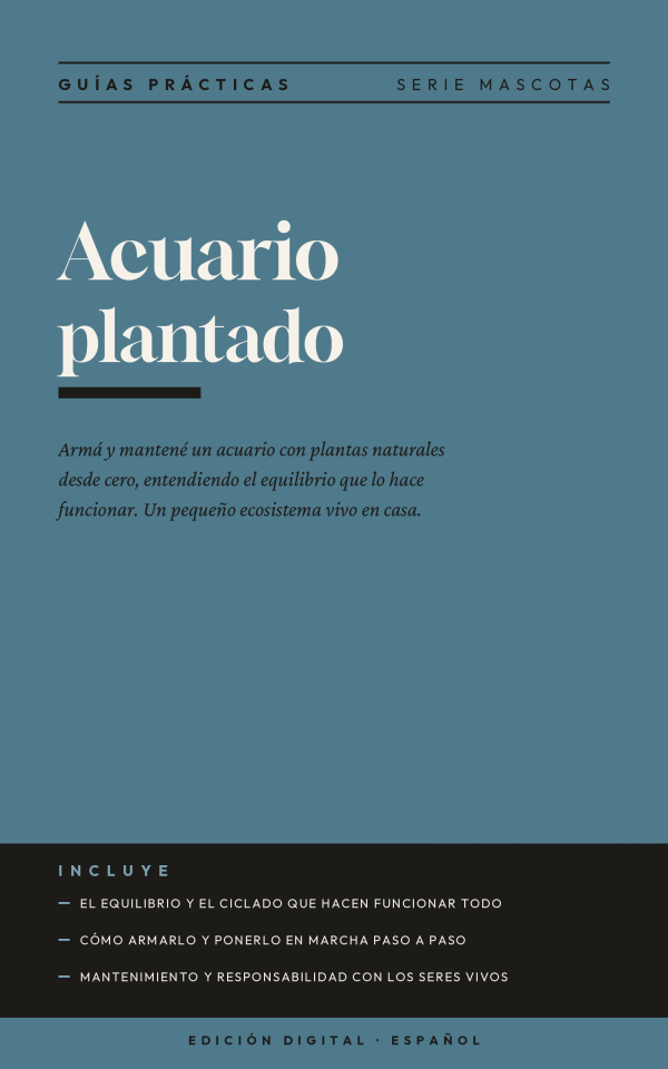 Acuario plantado